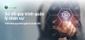 Sơ đồ quy trình quản lý nhân sự đạt chuẩn ISO giúp nâng cao hiệu suất