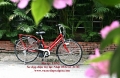 Xe đạp trợ lực Nhật Bridgestone