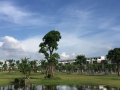 Sở hữu ngay nhà liền kề Nam 32 chỉ từ 3 tỷ/1 lô.LH:098 33 11 878