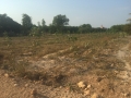 Miếng đất 30m x 200m sát KV KCN Nam Hà ở Bình Thuận