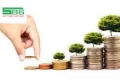 Trồng rau mầm - cơ hội làm giàu dành cho bạn năm nay