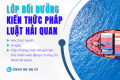 Tuyển sinh khóa học Bổ sung kiến thức Pháp luật hải quan