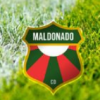 chào đón nhiều ngôi sao quốc tế, quy tụ nhiều CLB hàng đầu như LA Galaxy