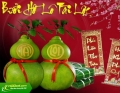 Cung cấp bưởi hồ lô tài lộc giá rẻ dịp tết 2015