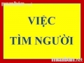 CẦN NỮ TƯ VẤN BÁN HÀNG TẠO CTY