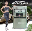 Máy làm kem tươi Goodfor GH6