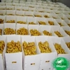 Bán Gừng Tươi (Gừng Trâu, Gừng Lai, Gừng Sẻ), Gừng Thương Phẩm, Gừng Giống