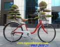 Xe đạp điện Nhật cũ giá gốc