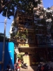 Cho thuê nhà nguyên căn Quận 1