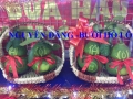 Cung cấp bưởi hồ lô tài lộc đồng tiền