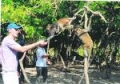 TOUR ĐẢO KHỈ - SUỐI HOA LAN 1 NGÀY
