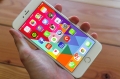 iphone 6s plus đài loan xách tay