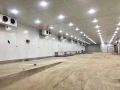 Kho lạnh bảo quản vacxin