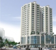 Cho thuê căn hộ Lữ Gia . diện tích 92m2 , 3pn, nhà đẹp lầu cao, thoáng mát. Giá 11 triệu/tháng. LH. Huy 0903 624 230