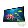 Màn chiếu 3D khung cố định 250 inches