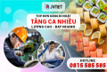 Việc làm tại Nhật – Chỉ cần tốt nghiệp cấp II