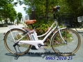 Xe đạp điện Nhật cũ nhập khẩu nguyên chiếc