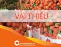 Thủ tục xuất khẩu vải thiều