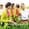 Cần tuyển đại lý trà Thái Nguyên tại TPHCM