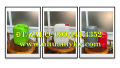 Vỏ thùng nhựa 22 lít đựng chất tạo bọt, can vuông 25 lít đựng các chất sinh học, can 30 lít dẹp đựng nước rửa chén