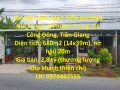 Cần Bán ĐẤT MẶT TIỀN ĐƯỜNG NHỰA tại xã Phước Trung, Gò Công Đông, Tiền Giang