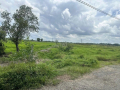 ĐẤT ĐẸP–GIÁ TỐT–CHÍNH CHỦ BÁN GẤP LÔ ĐẤT 2 MẶT TIỀN đường Hồ Thị Búng, Tân Thạnh Tây, Củ Chi, TP.HCM