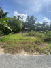 BÁN ĐẤT ĐÔNG THÀNH, THỊ XÃ BÌNH MINH, TỈNH VĨNH LONG – VIEW ĐẸP, GIÁ TỐT CHỈ 330 TRIỆU